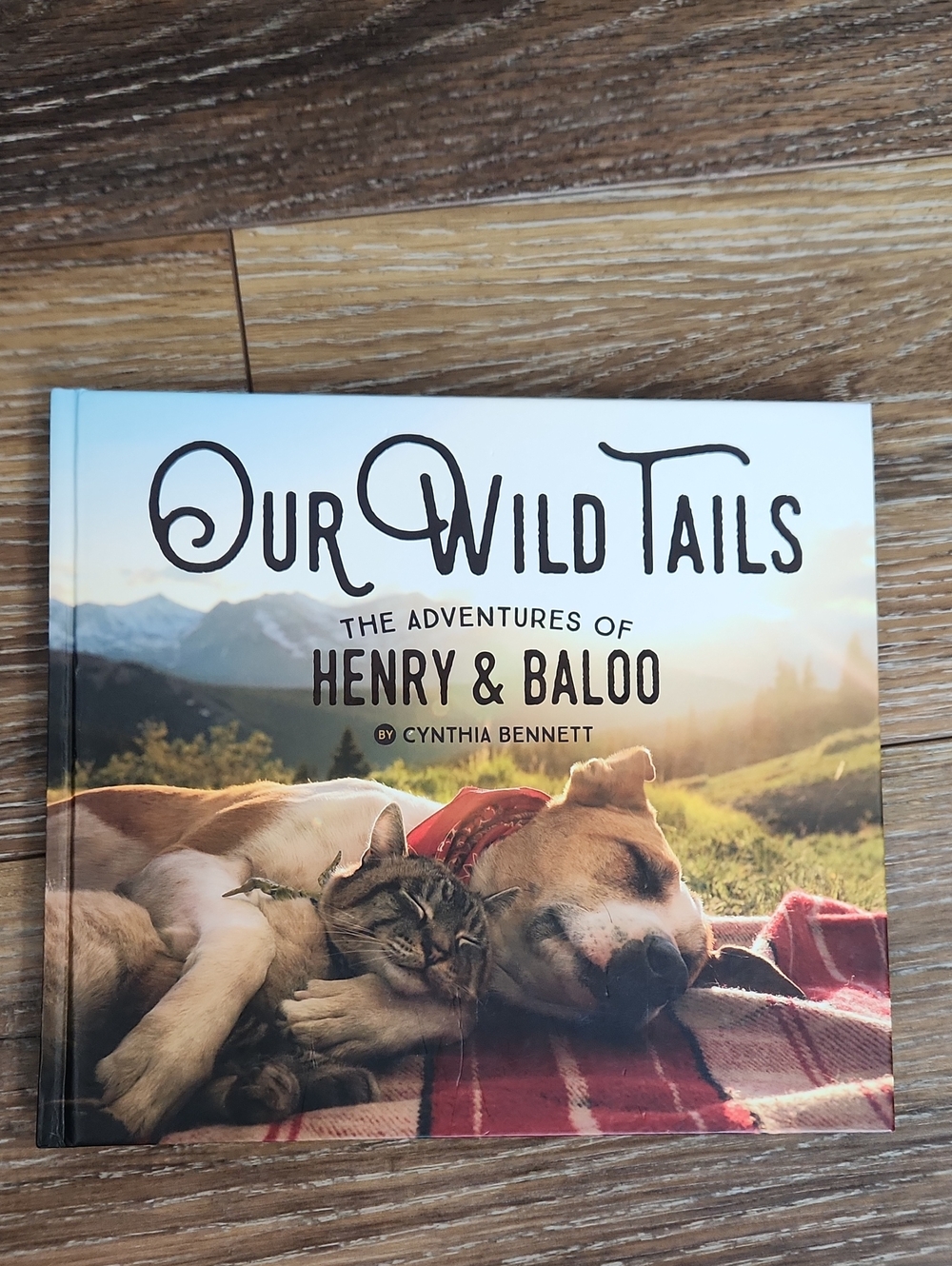 Our Wild Tails Adventures of Henry & Baloo Dog Cat Book